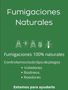 Control de Plagas