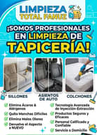 Limpieza de Tapicería y Detallado a Domicilio