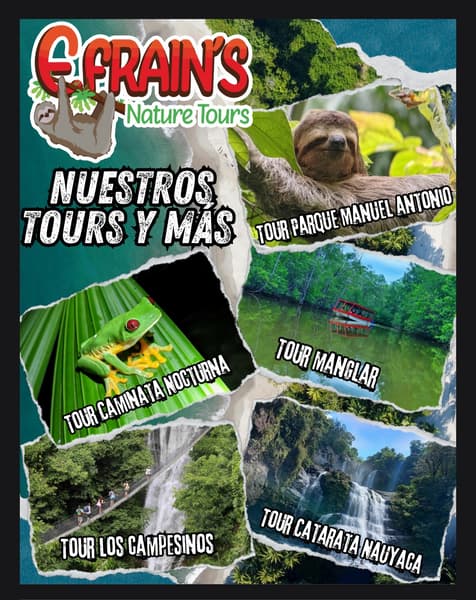 Efrain's nature tours