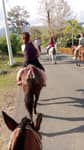 TOUR A CABALLOS UVITA