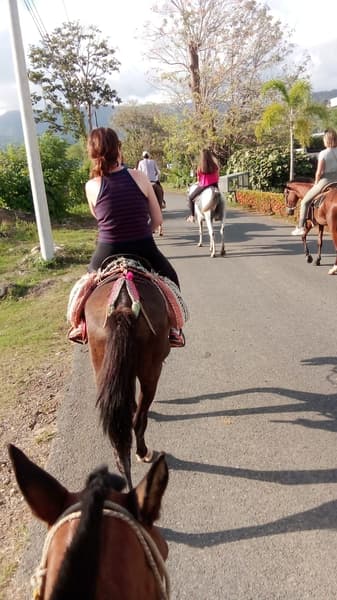 TOUR A CABALLOS UVITA