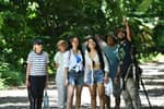Evergreen tours