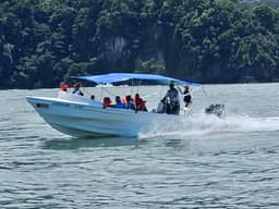 Tortuga Paradise tours