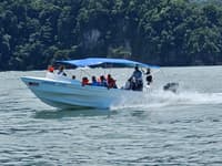 Tortuga Paradise tours