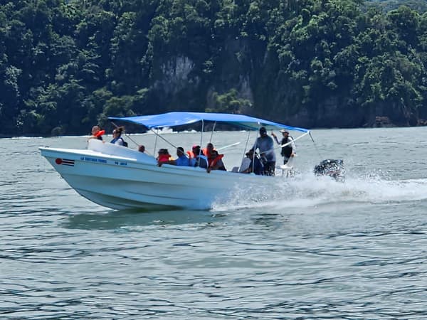 Tortuga Paradise tours