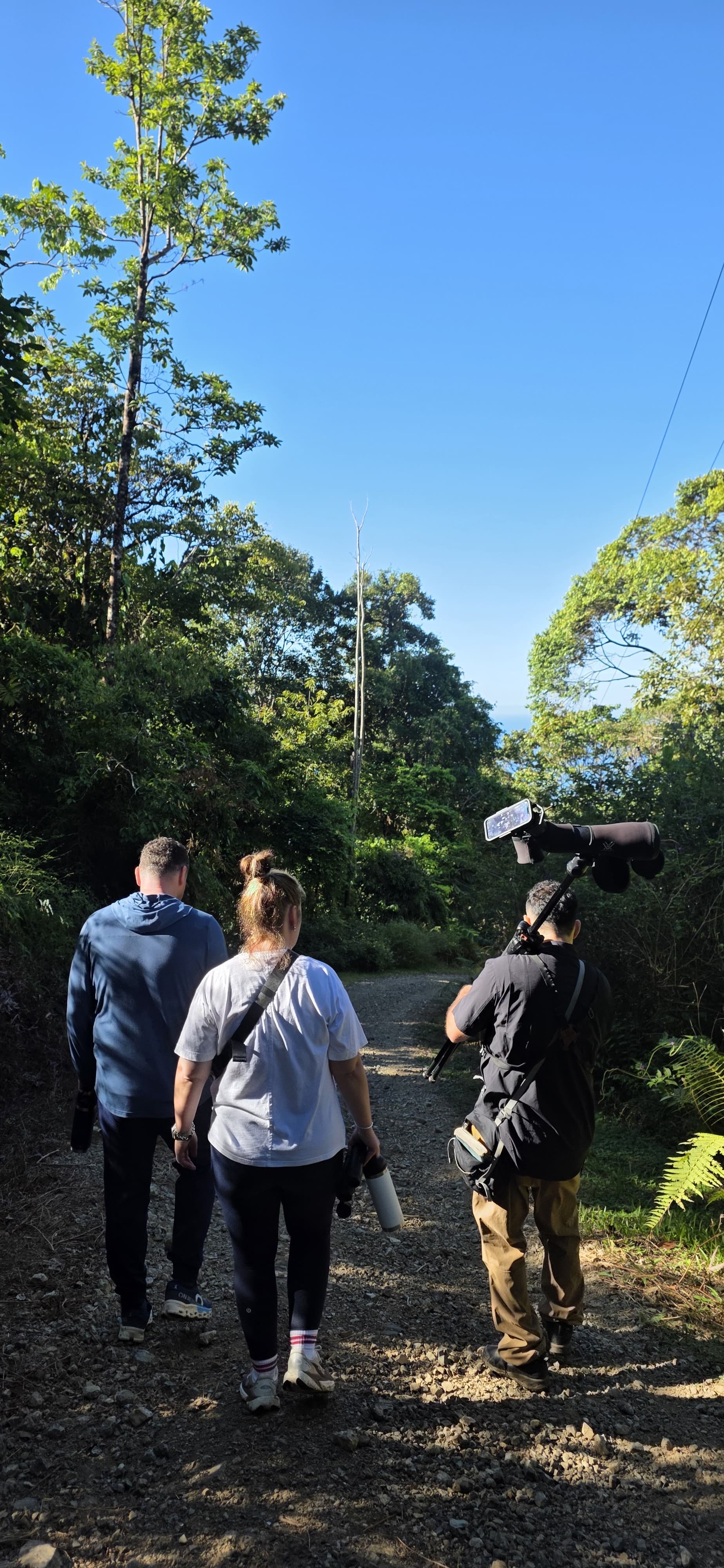 Birding Busta Tours