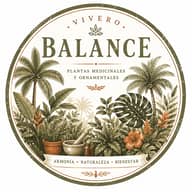 BALANCE