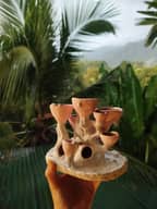 Kendry María Vargas Villalobos