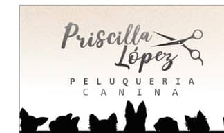 Dog Groomer Pricilla lopez