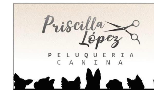 Dog Groomer Pricilla lopez