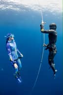 Spearfishing Day Charters