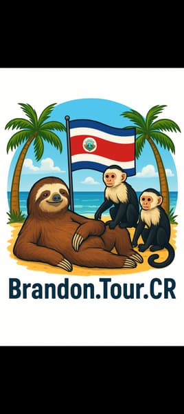 BRANDON TOUR CR