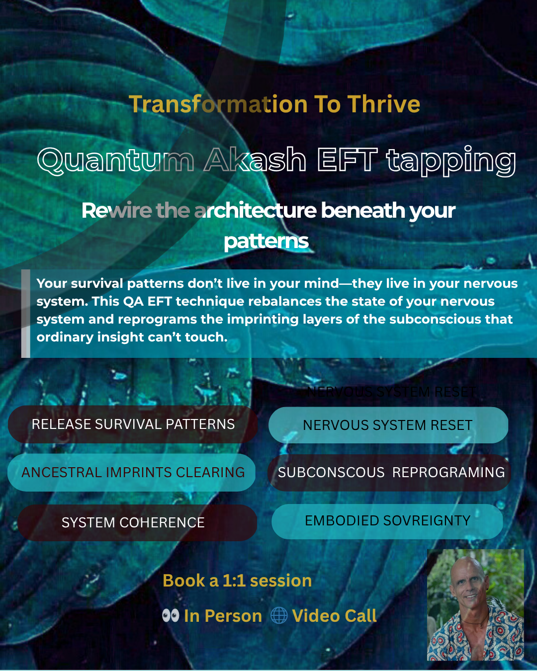 Transformation To Thrive
