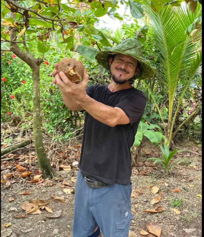 Coconut Tour