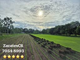 Zacates CR🇨🇷 Lawns and Garden