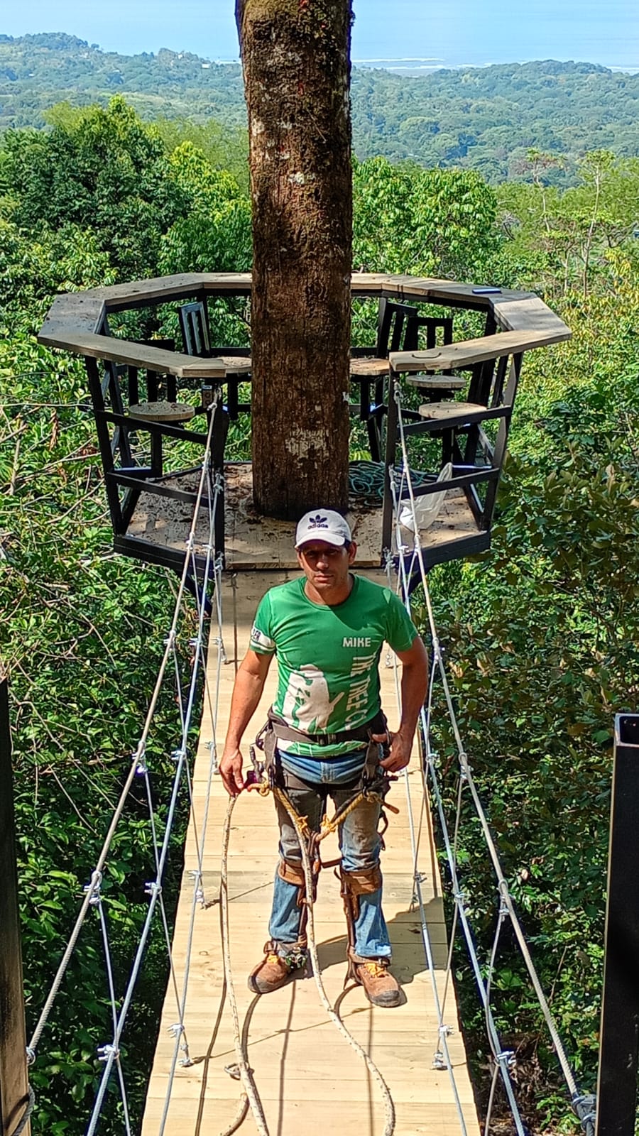 The tree climber