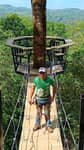 The tree climber