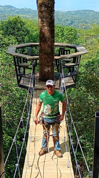 The tree climber