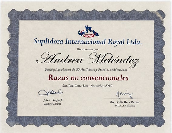 Credential 4