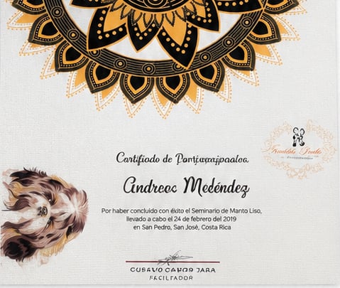 Credential 5