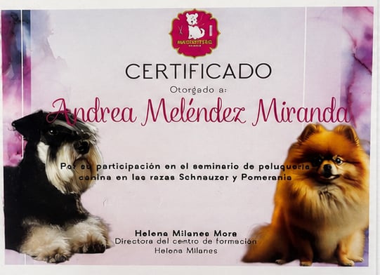 Credential 3