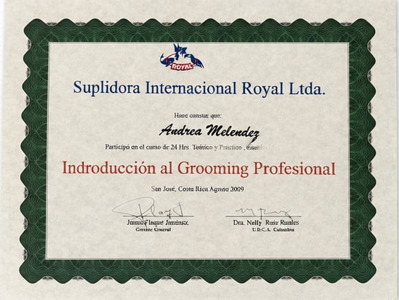 Credential 1