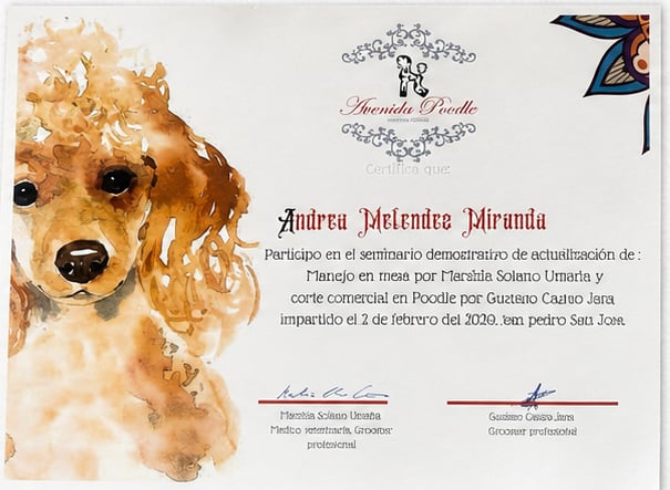 Credential 2