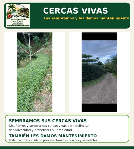 PARAISO LANDSCAPING AND CONSTRUCTION