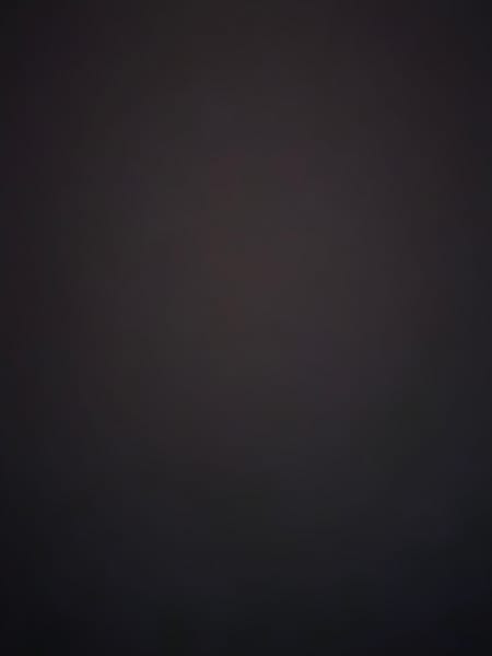 Transporte, carga, descarga y colocacion en Dominicalito, Dominical