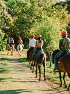 Tour Bosque