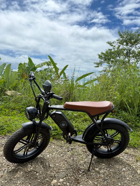 Electric Bike Rental