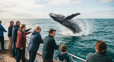 Tour de Avistamiento de Ballenas