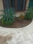 Servicio de Jardinería 