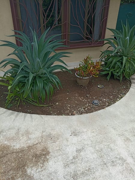 Servicio de Jardinería 