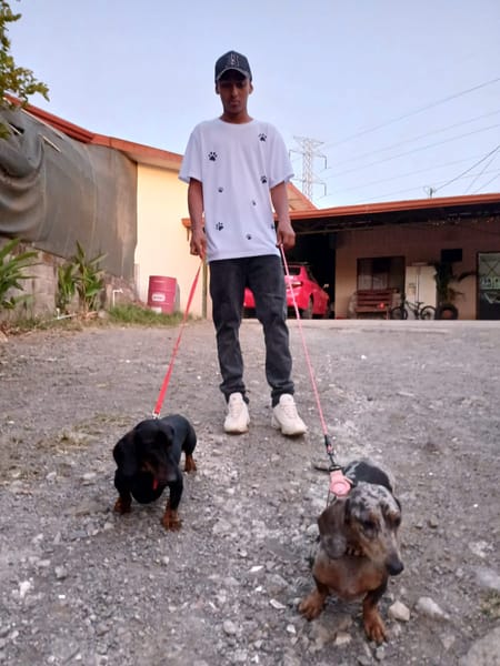 Paseo y Cuidado Canino