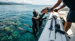 Southern Reef Charter (Full Day)