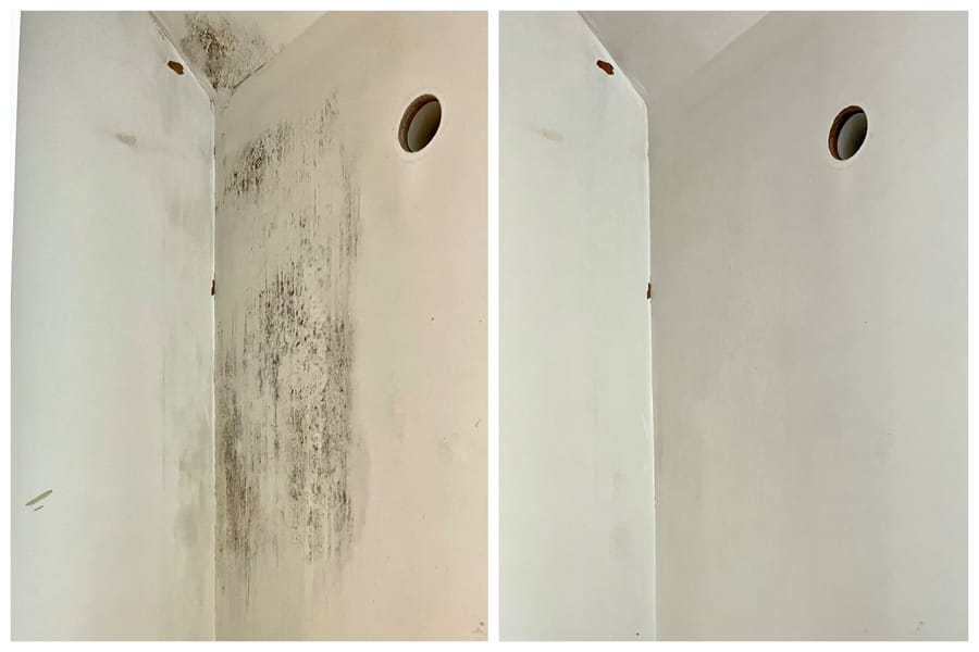 Mold Elimination & removal