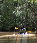 Tour Combinado: Manglar y Catarata