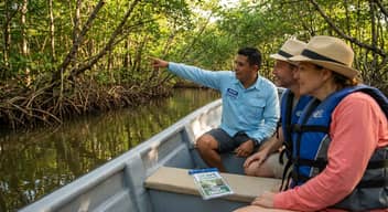 Sierpe Mangrove Guided Tour (French Speaking)