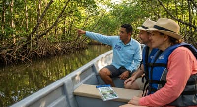 Sierpe Mangrove Guided Tour (French Speaking)