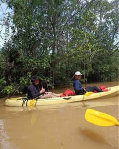 Tour Kayak Manglar