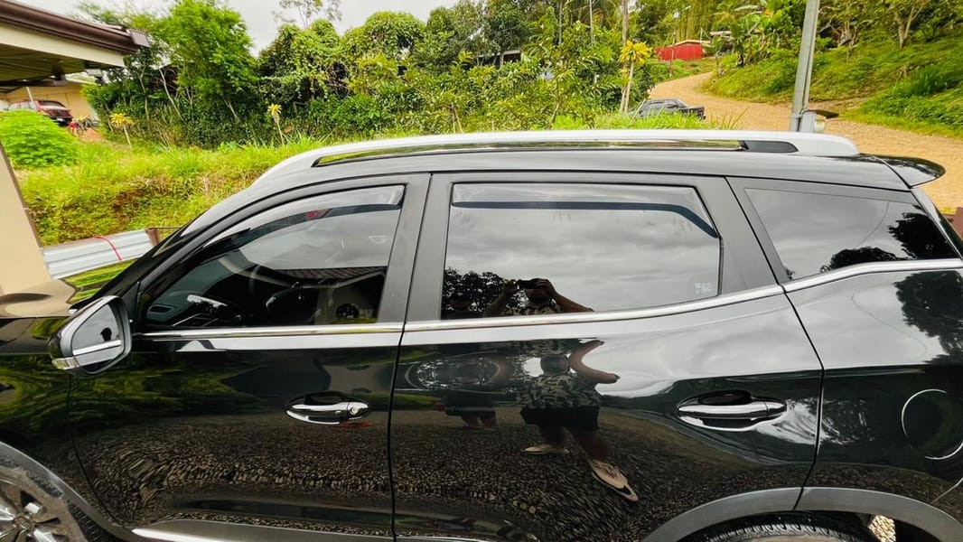 Polarizado Automotriz 