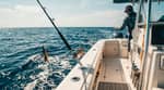Pesca Offshore (Día Completo)