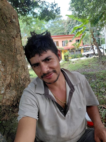 Servicio de chapia