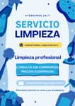 servicio de limpieza 