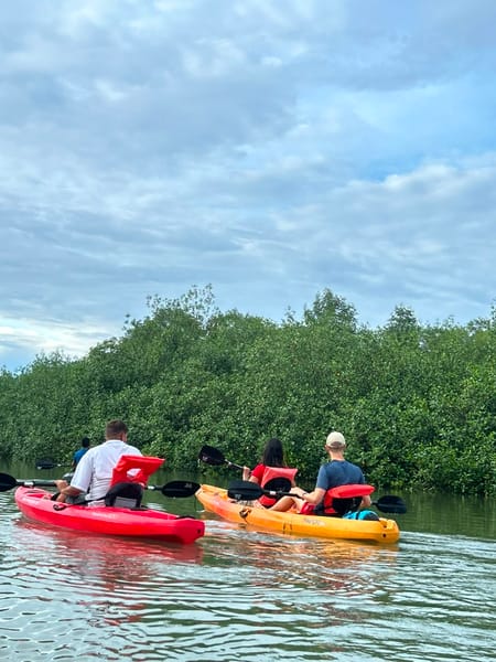 KAYAK MANGLAR 