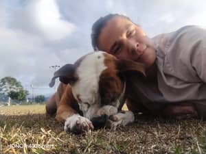 Photo 8