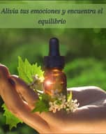 Terapia Flores de bach