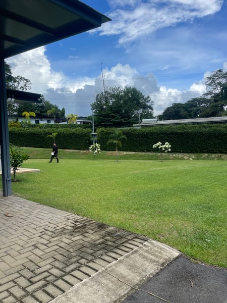 Mantenimientos de jardines