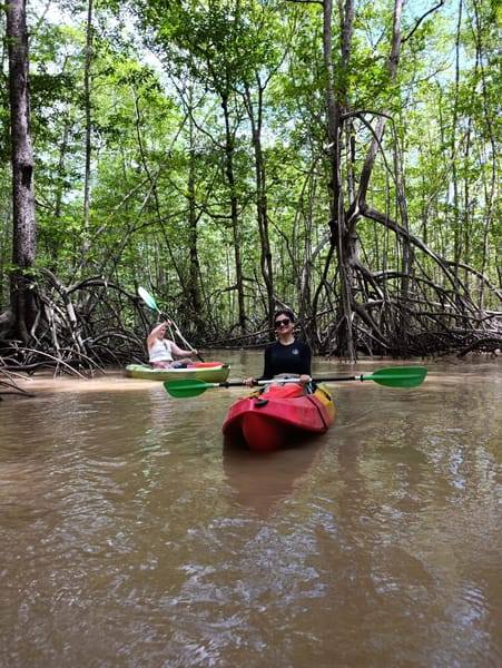 Tour de manglar en kayak 